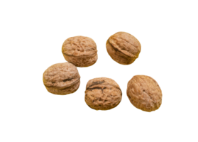 Walnuts on transparent background png