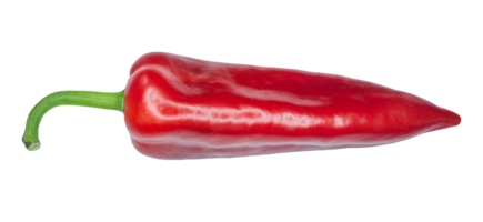 rouge le Chili capia poivre isolé sur une transparent Contexte. poivre png. png