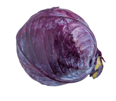 Red cabbage on a transparent background png