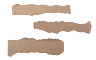 Ripped paper on transparent background. Torn paper. png