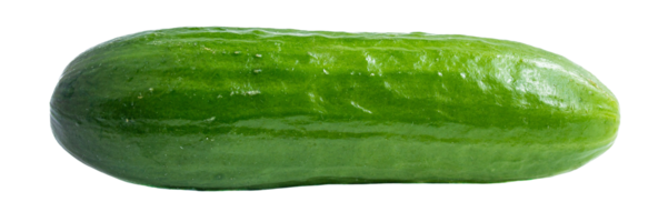 Cucumber on a transparent background png