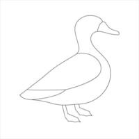 A duck Continuous single line drawing vector illustration. Continuous outline of Animal bird icon.