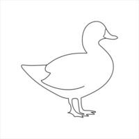 A duck Continuous single line drawing vector illustration. Continuous outline of Animal bird icon.