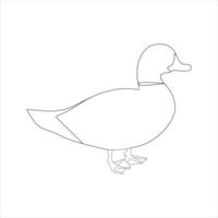 A duck Continuous single line drawing vector illustration. Continuous outline of Animal bird icon.