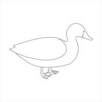 A duck Continuous single line drawing vector illustration. Continuous outline of Animal bird icon.