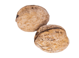 Walnuts on transparent background png