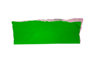 Ripped green paper on transparent background. Torn paper png photo.