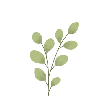 estético floral em png transparente