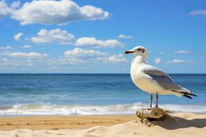 ai generado Gaviota en el playa debajo azul cielo. foto