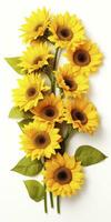 AI generated Sunflowers isolated on white background. AI Generated photo