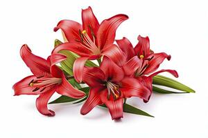 AI generated Red Lilies isolated on white background. AI Generated photo