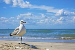 ai generado Gaviota en el playa debajo azul cielo. foto