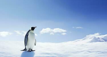 AI generated Penguin standing in Antarctica looking into the blue sky. AI Generated photo