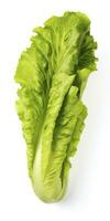 AI generated Lettuce isolated on white background. AI Generated photo