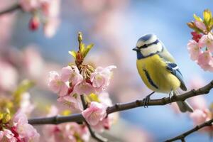 AI generated A Bluetit bird resting on the branch of a tree. AI Generated. photo