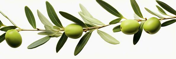 AI generated Olive tree branch, green olives and leaves on white background. AI Generated. photo