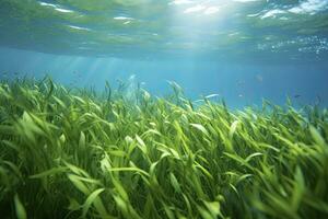 AI generated Underwater view of a group of seabed with green seagrass. AI Generated photo