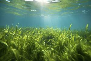 AI generated Underwater view of a group of seabed with green seagrass. AI Generated photo