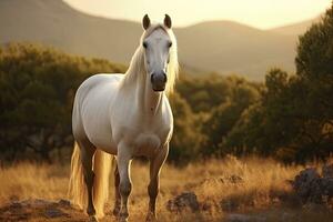 ai generado blanco caballo o yegua en el montañas a puesta de sol. ai generado foto