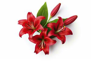 AI generated Red Lilies isolated on white background. AI Generated photo