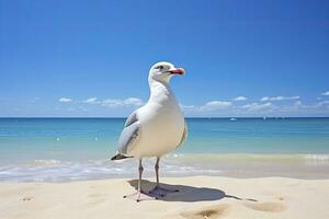 AI generated Seagull on the beach under blue sky. photo