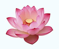 AI generated Lotus flower on white background. AI Generated photo