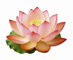 AI generated Lotus flower on white background. AI Generated photo