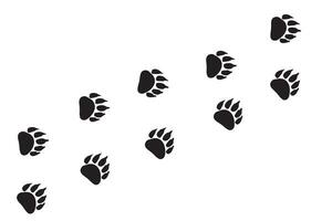 Print of bear's paw, vector. Vector illustration