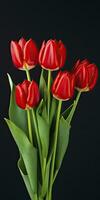 AI generated Red tulips isolated on black background. AI Generated photo