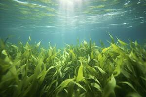 ai generado submarino ver de un grupo de fondo del mar con verde pastos marinos. ai generado foto