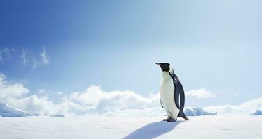 ai generado pingüino en pie en Antártida mirando dentro el azul cielo. ai generado foto