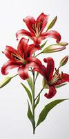 AI generated Red Lilies isolated on white background. AI Generated photo