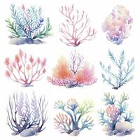 AI generated Underwater Sea element in watercolor on the white background. AI Generated photo