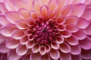 AI generated Dahlia flower background.  AI Generated. photo