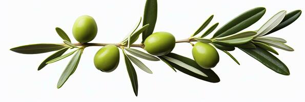 AI generated Olive tree branch, green olives and leaves on white background. AI Generated. photo