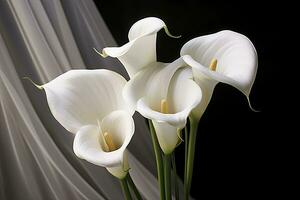 AI generated White wedding nature lily beauty blossom plant flower flora calla. AI Generated photo