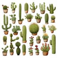 ai generado el cactus conjunto en blanco antecedentes. clipart ilustraciones. ai generado foto