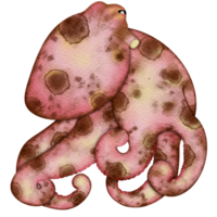 Pink octopus with brown spots png