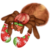 Spider in Christmas theme png