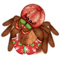 Spider in Christmas theme png