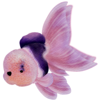 pink goldfish with purple pattern png