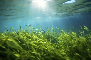 AI generated Underwater view of a group of seabed with green seagrass. AI Generated photo