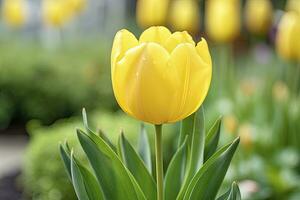 ai generado amarillo tulipán en el jardín. ai generado foto