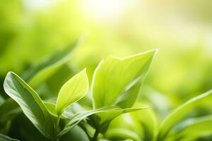 ai generado naturaleza de verde hoja en un jardín en verano debajo luz de sol. primavera antecedentes. ai generado foto