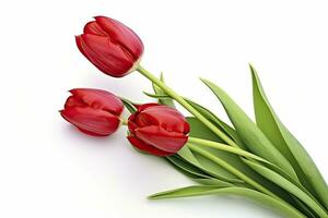 AI generated Red tulips isolated on white background. AI Generated photo