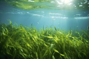 AI generated Underwater view of a group of seabed with green seagrass. AI Generated photo