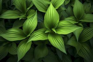 AI generated A plant with lots of large green leaves. AI Generated photo