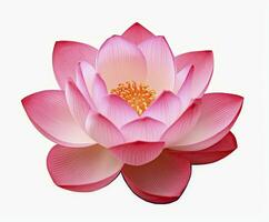 AI generated Lotus flower on white background. AI Generated photo