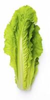 AI generated Lettuce isolated on white background. AI Generated photo