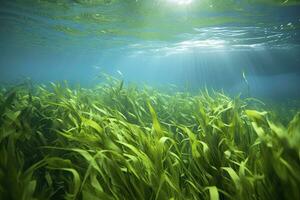 AI generated Underwater view of a group of seabed with green seagrass. AI Generated photo